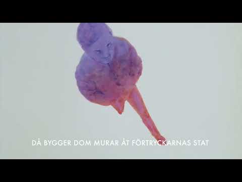 Marcus Öhrn - Orättvisan - Official Lyric Video 2023