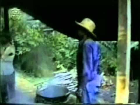 Chico Corrente short cut