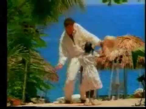 David Hasselhoff  - "The Limbo Dance"  Official Music Video