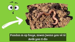 Lakou Kajou _ Fouye fouye
