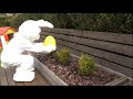 Easter Egg Hunt. Easter Traditions. ESL/ESOL Video A1-A2 | English Portal