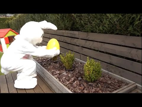 Easter Egg Hunt. Easter Traditions. ESL/ESOL Video A1-A2 | English Portal