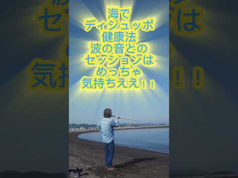 哲学科 海辺でディジュッポ健康法