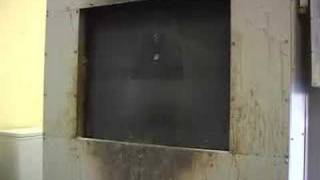 Doctor Death, Shocking Killing of  Shelter Pets Part 2