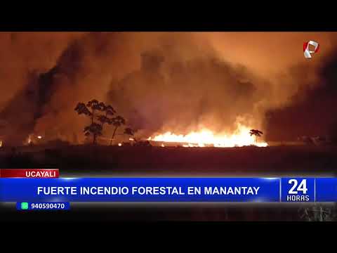 Emergencia en Ucayali: incendio forestal de gran magnitud afecta Manantay