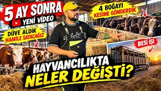 Hayvancılıkta 5 Ayda Neler Değişti? | Tecrübelerimizi Anlatıyoruz