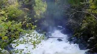 The Birks of Aberfeldy