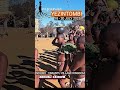 Impande Yeszintombi 2025 Abangoni Africantraditions Africanrituals Tribaldance