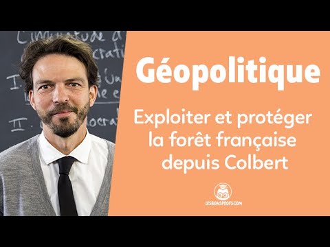 Exploiter et protéger la forêt française depuis Colbert