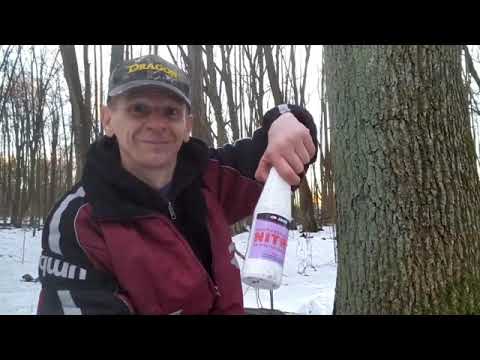 27.02.2021 Major ładuje Nitro w lesie