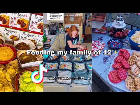 Feeding my family of 12 TikTok compilation