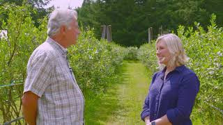 Blueberry Farming I Gifts of the Planet I Woodland, WA I Washington Grown