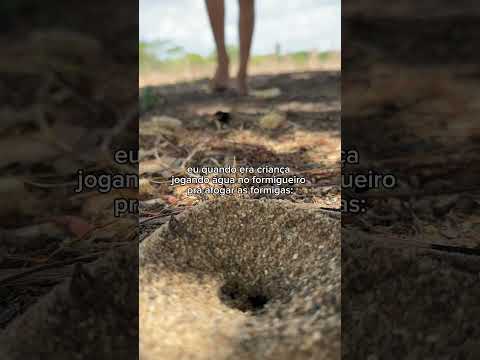 o pior é quando elas revidavam #shorts