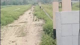  Agricultural Land for Sale in Dewa Road, Barabanki