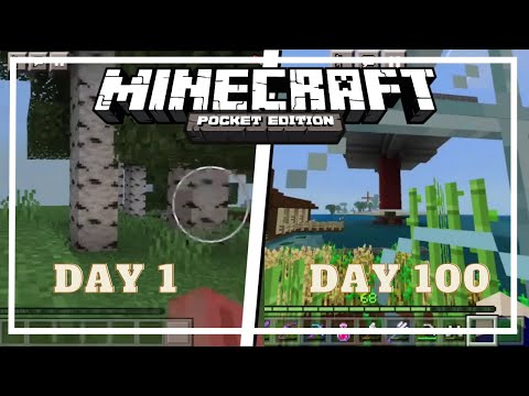 I spent 100 days in Minecraft Pocket Edition and experienced suffering :( || Tamil LAN Gaming