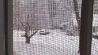 preview picture of video 'Gorgeous Snow Storm - Ossining NY'