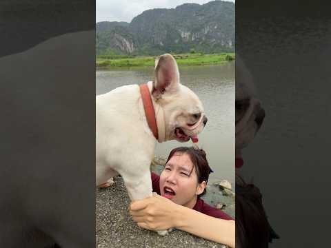 Brave Dog Rescues Girl from Dangerous River 💔🐶 #dog #lovedog #pets