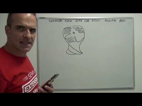 Correção ENEM 2017 CAD AZUL Questão 160