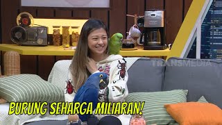 Download lagu Fantastis, 35 Burung Jacqueline Wijaya Total Harganya Miliaran Rupiah! | TRIG3RR (07/05/22) Part 4 mp3
