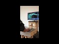 ROCK FEVER 1代 主题歌 By顾哥
