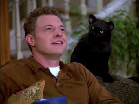 just harvey and salem being best bros