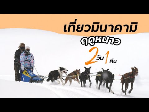 Japan Travel Vlog - Travel Guide | Minakamiin Winter