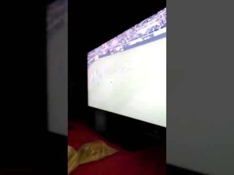 Associazione quartiere alfano 167  ....gli ultimi secondi Juventus Napoli la gioia dei tifosi !!