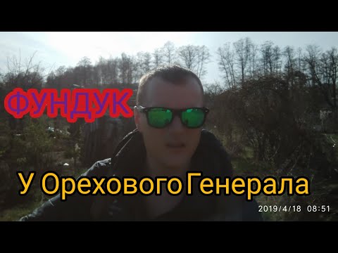 Фундук в Чернигове 18 апреля 2019.