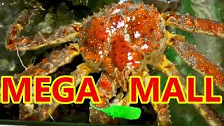 $450 Kings Crab | Vietnam Mega Mall Part 3