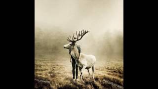 Julia Holter - Night Song