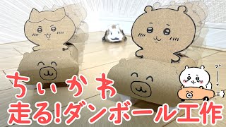【ちいかわ】ブーイ 走るダンボール工作！【ハチワレ・でかつよ】