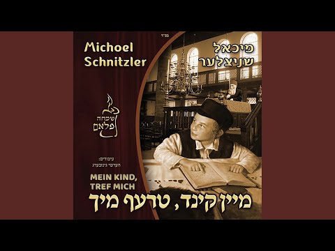 Der Bochur's Tzava'a