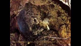 Deinonychus:  A Throne On My Long Awaited Desires ....