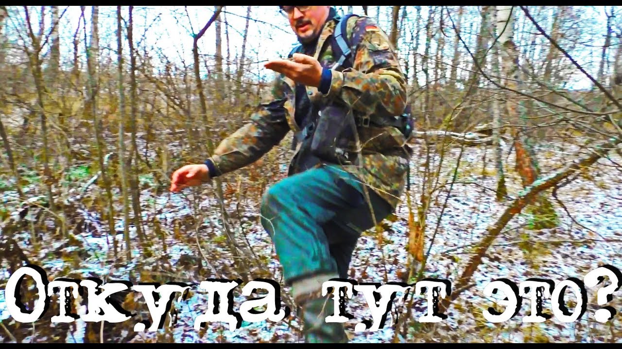 Старинный лес, откуда тут это?