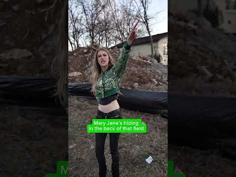 Passin more than tobacco when you’re drivin down the road 🌱 #countrymusic #kentucky #cornbreadmafia