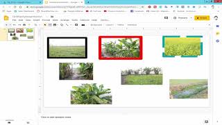 How to remove Image border and color in Google Slides Presentation