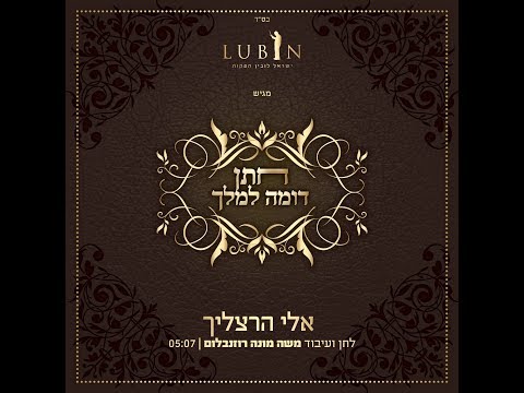 אלי הרצליך - חתן דומה למלך | Eli Herzlich - Chosson Domeh L'Melech
