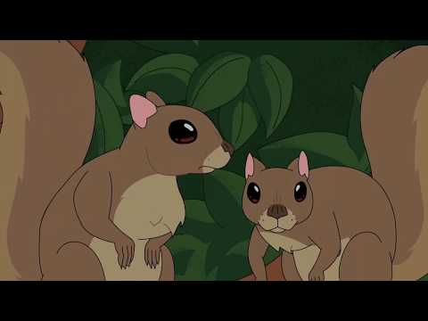 Morty y las ardillas [HD]