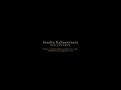 Sandra Kallaanvaara | Showreel
