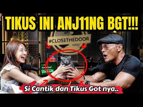 TAPI INI BUKAN TENTANG TIKUS GOT DOANG‼️❤️ 