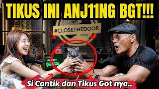 Download lagu TAPI INI BUKAN TENTANG TIKUS GOT DOANG‼️❤️ mp3 Download lagu TAPI INI BUKAN TENTANG TIKUS GOT DOANG‼️❤️ mp3