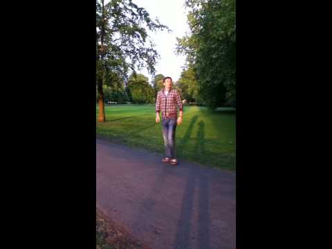 De roestige dakgoot verbergt de meeuwen 2