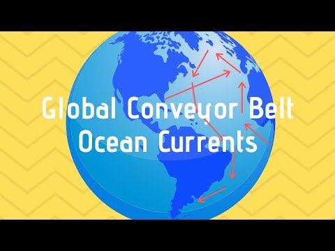 Global Conveyor belt-Ocean Currents caused by temperature and Salinity