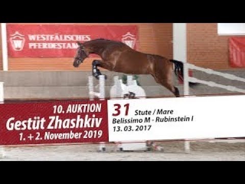 31 Stute / Mare v. Belissimo M - Rubinstein