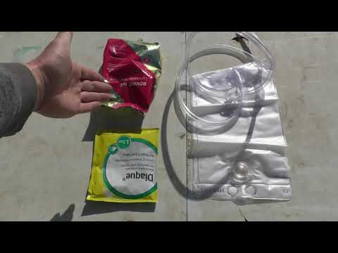 How to Tube Feed a Calf