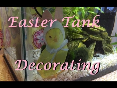 Decorating my Fish Tanks for Easter/Spring! | DIY