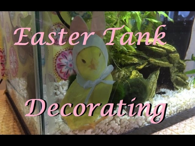 Decorating my Fish Tanks for Easter/Spring! | DIY