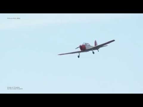 WIng of Freedom Ede Airshow 2015 G-BWTG DHC-1 Chipmunk display