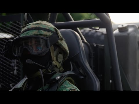 Government 14 — watch on YouTube