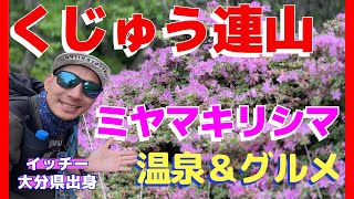 ミヤマキリシマ咲く！くじゅう連山♪地元出身イッチーが教える絶品グルメ「とり天」と「ガンジーソフト」そして温泉まで